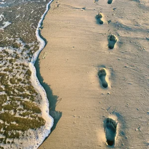 Beste platte loopband - omdat je niet altijd langs het strand kunt lopen